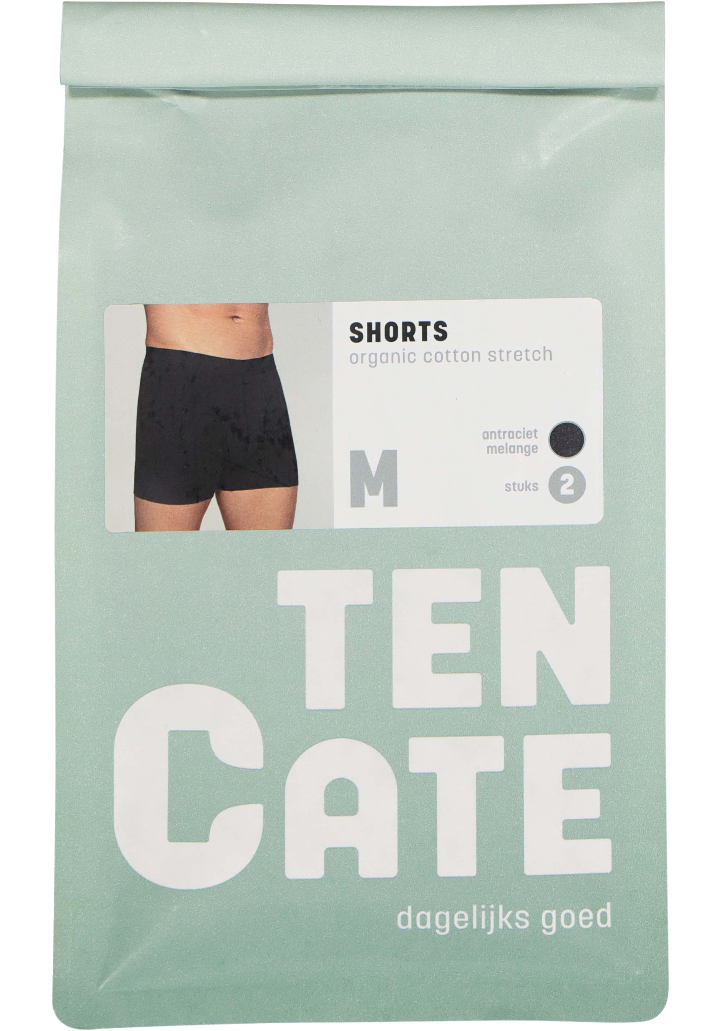 TEN CATE Basics men shorts (2-pack), heren boxers normale lengte, antraciet grijs melange