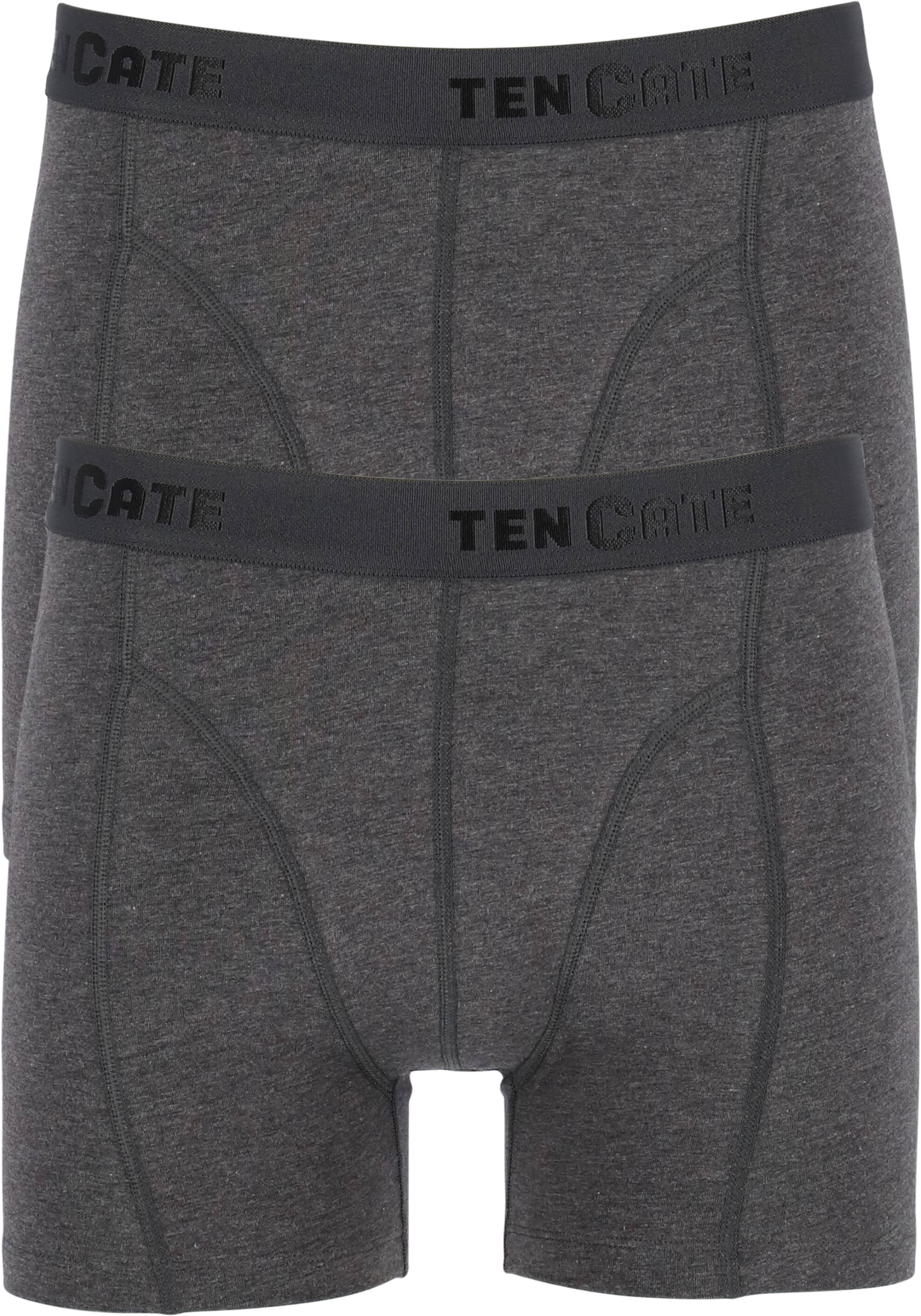 TEN CATE Basics men shorts (2-pack), heren boxers normale lengte, antraciet grijs melange