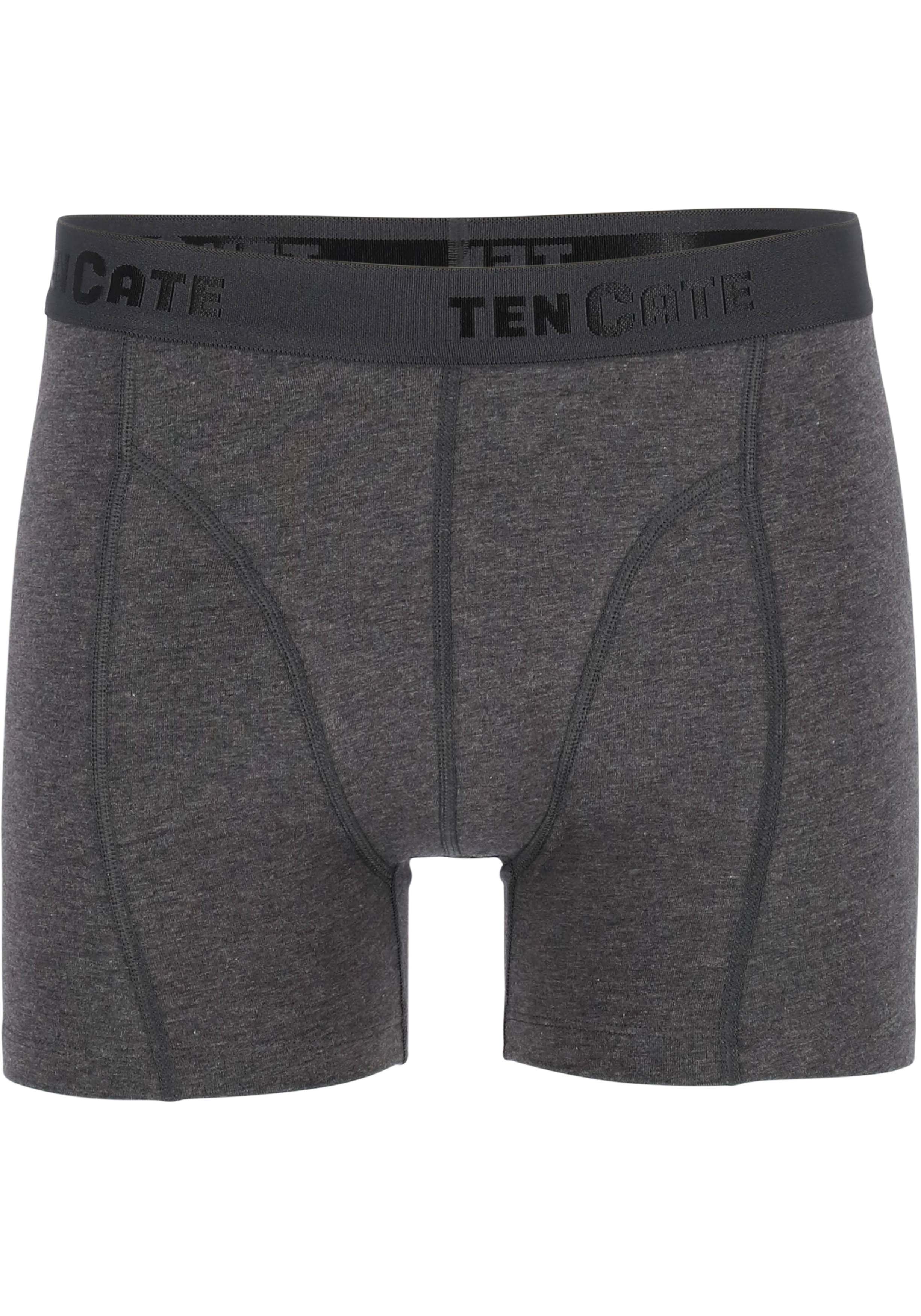 TEN CATE Basics men shorts (2-pack), heren boxers normale lengte, antraciet grijs melange