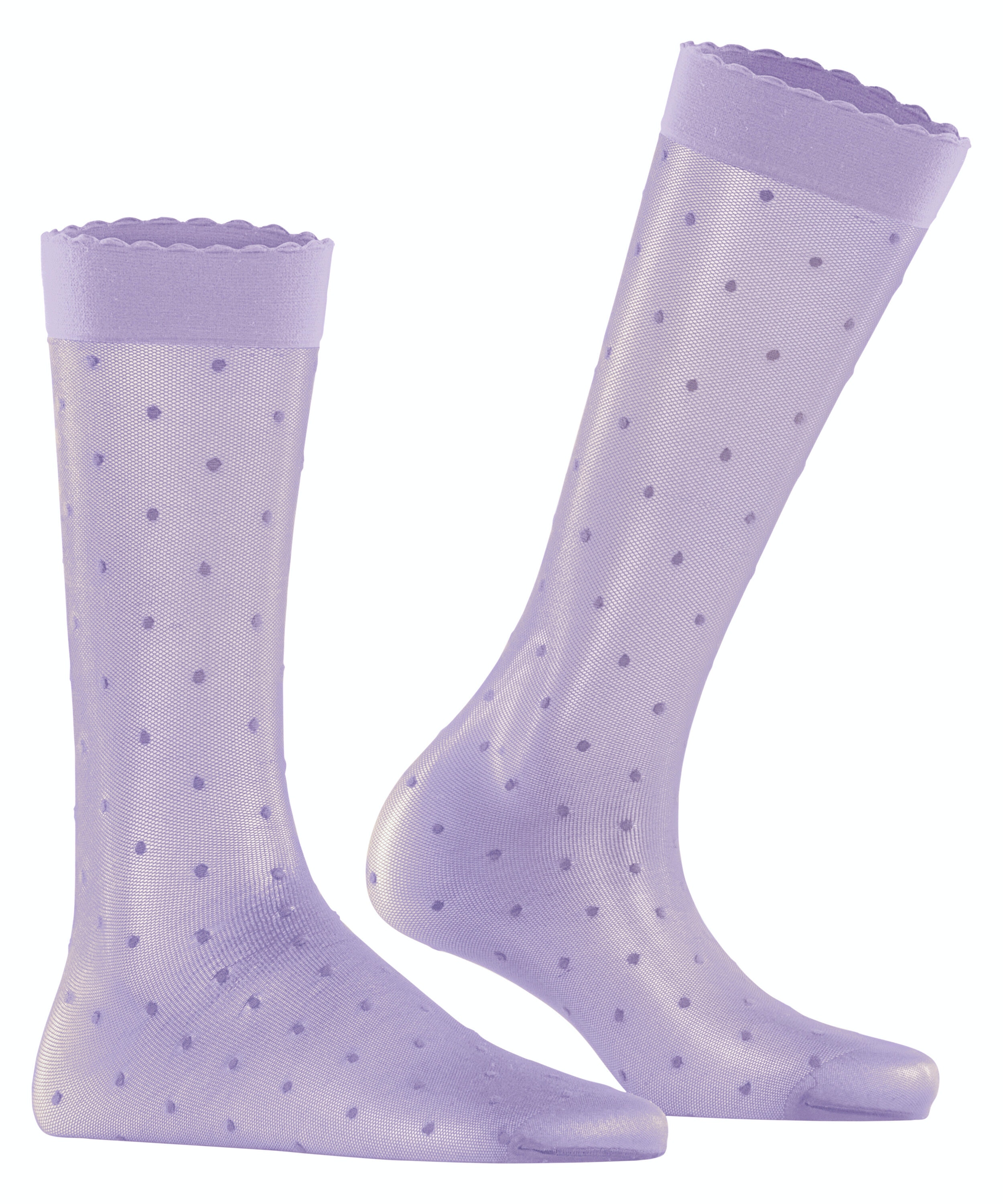 FALKE Dot 15 DEN dames kniekousen, lila (lupine)