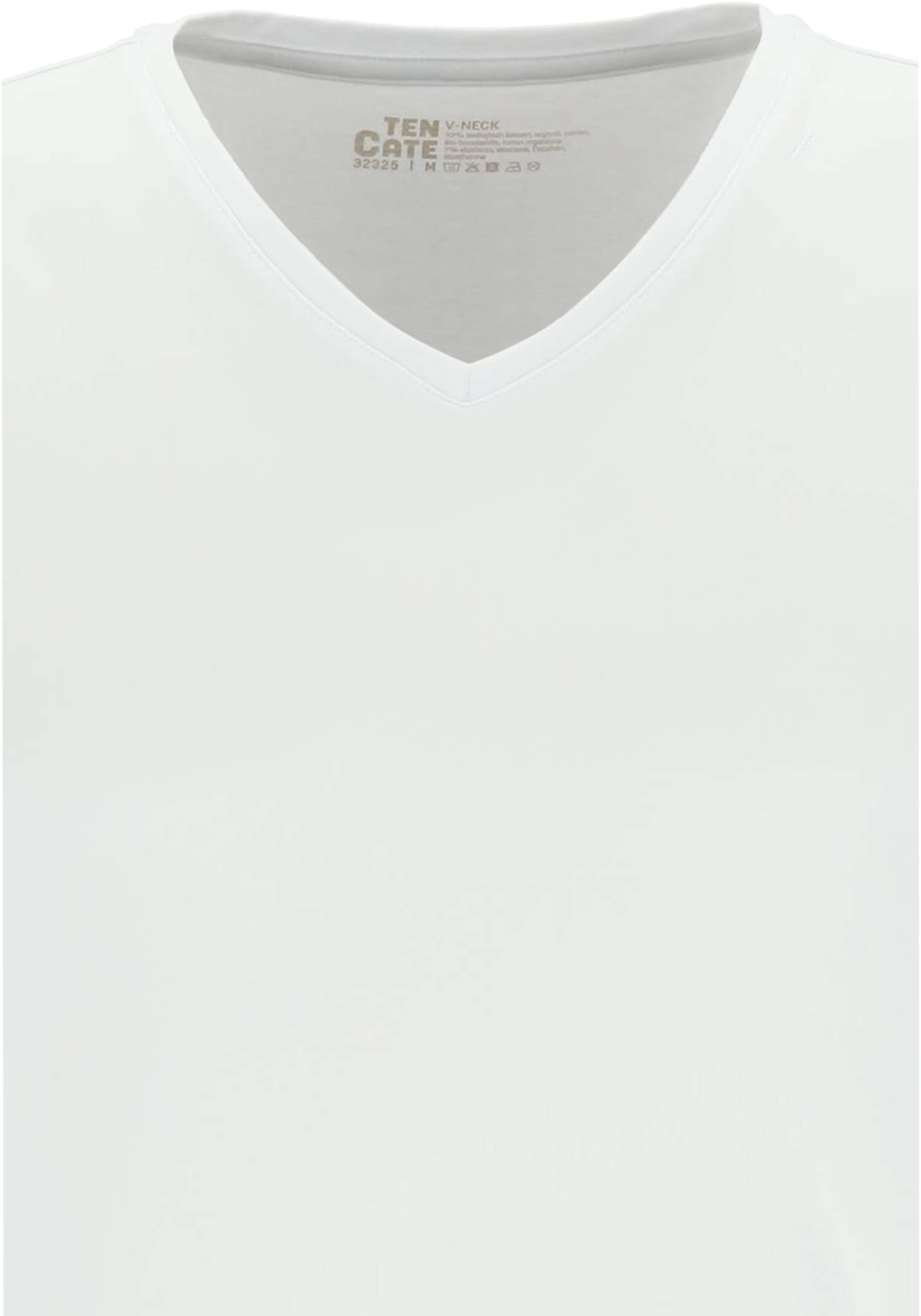 TEN CATE Basics men T-shirt (2-pack), heren T-shirts V-hals, wit