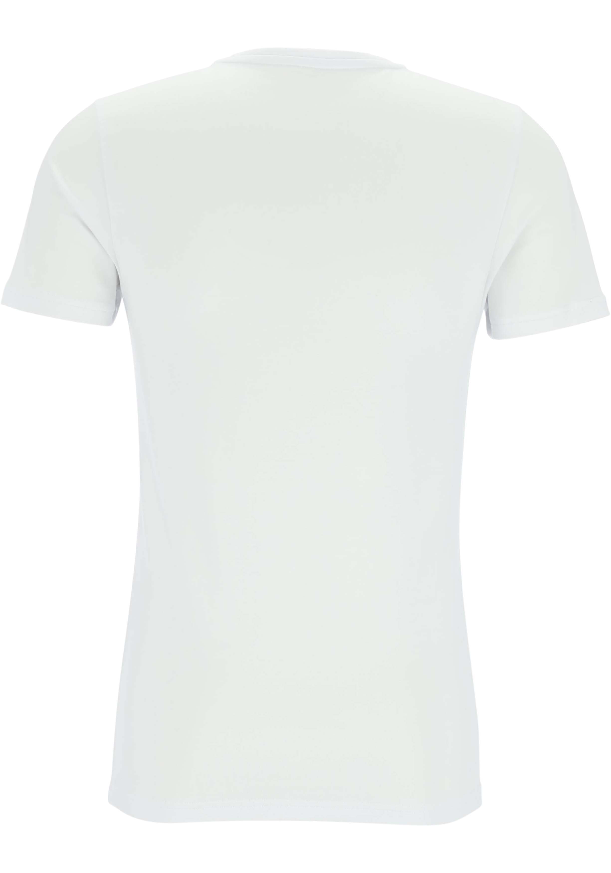 TEN CATE Basics men T-shirt (2-pack), heren T-shirts O-hals, wit