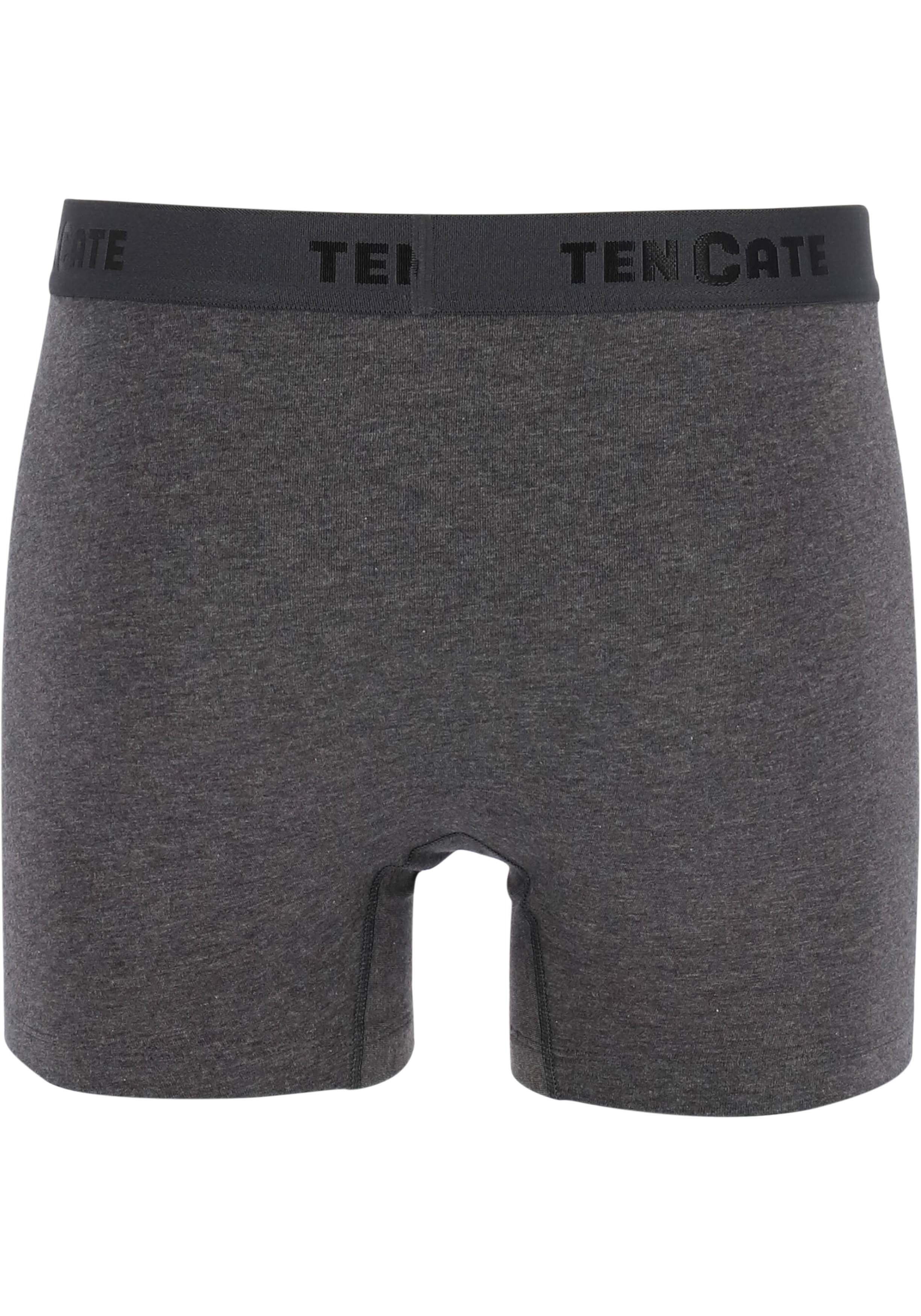 TEN CATE Basics men shorts (2-pack), heren boxers normale lengte, antraciet grijs melange