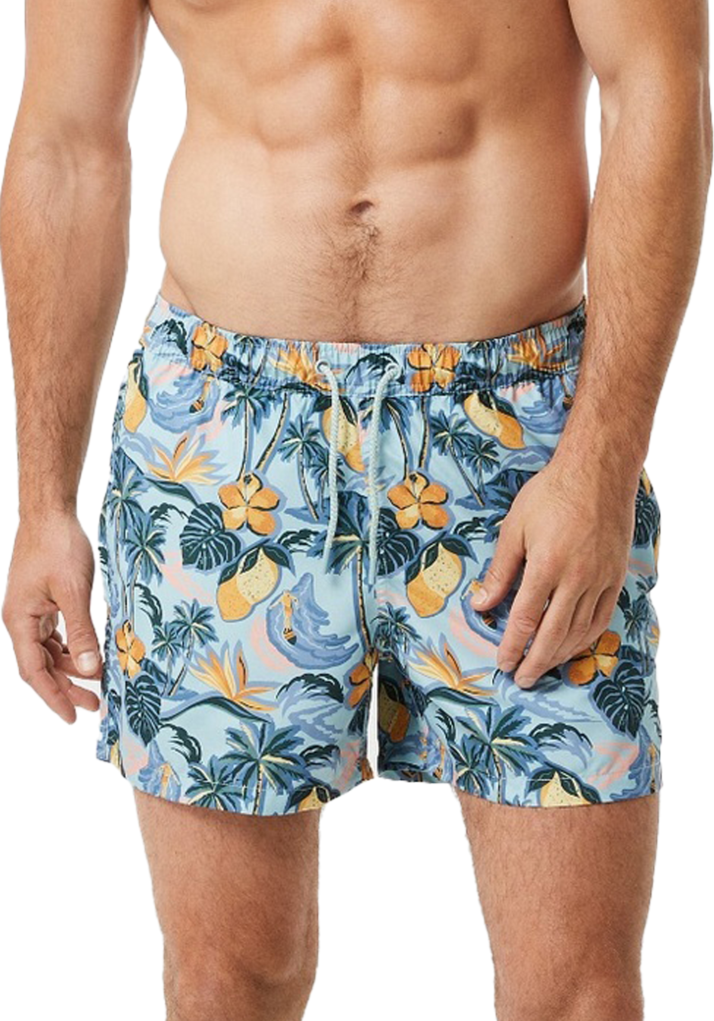 Bjorn Borg Print Swim Shorts, heren zwembroek, citroenen print