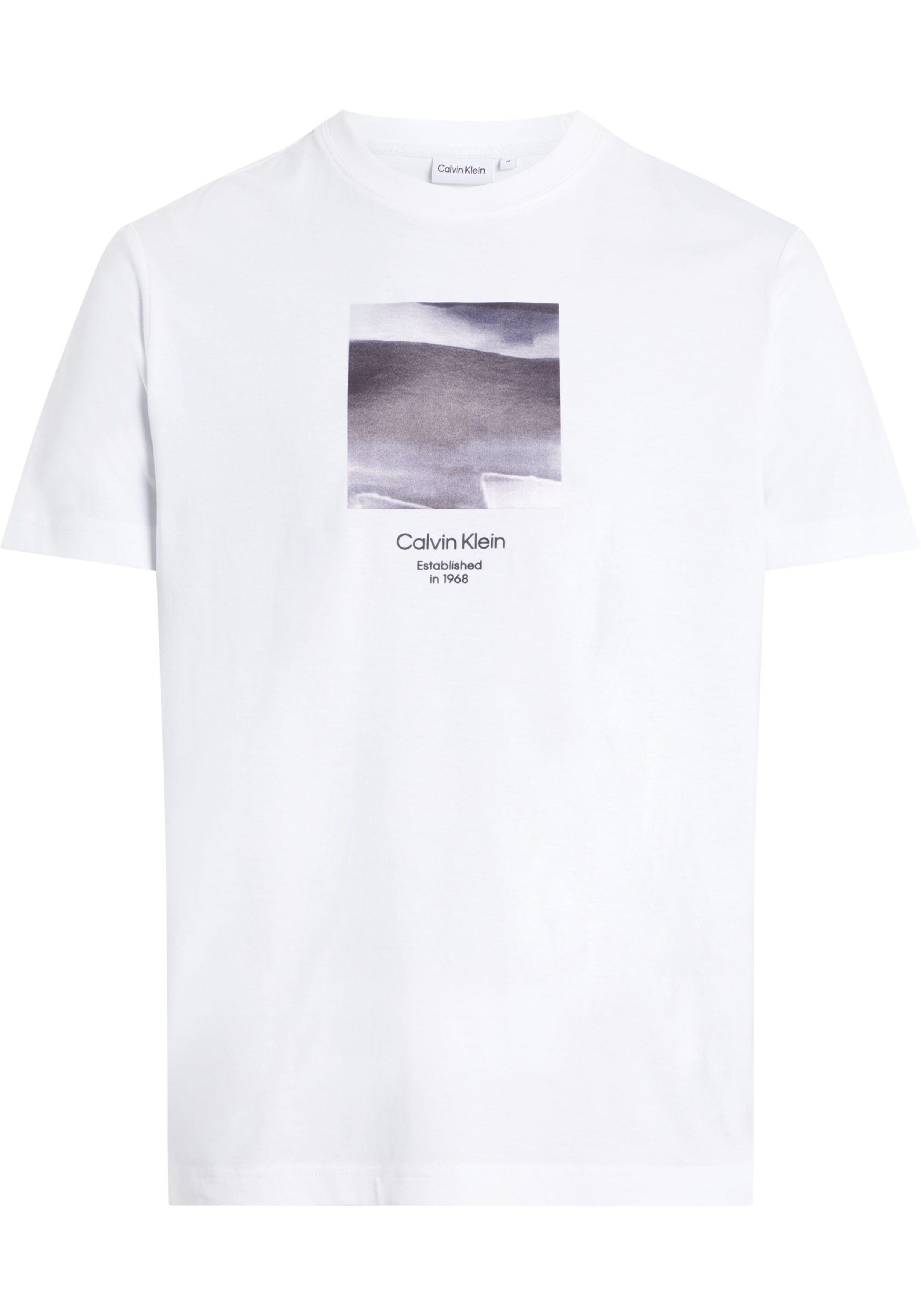 Calvin Klein Diffused Graphic T-shirt, heren T-shirt korte mouw O-hals, wit dessin
