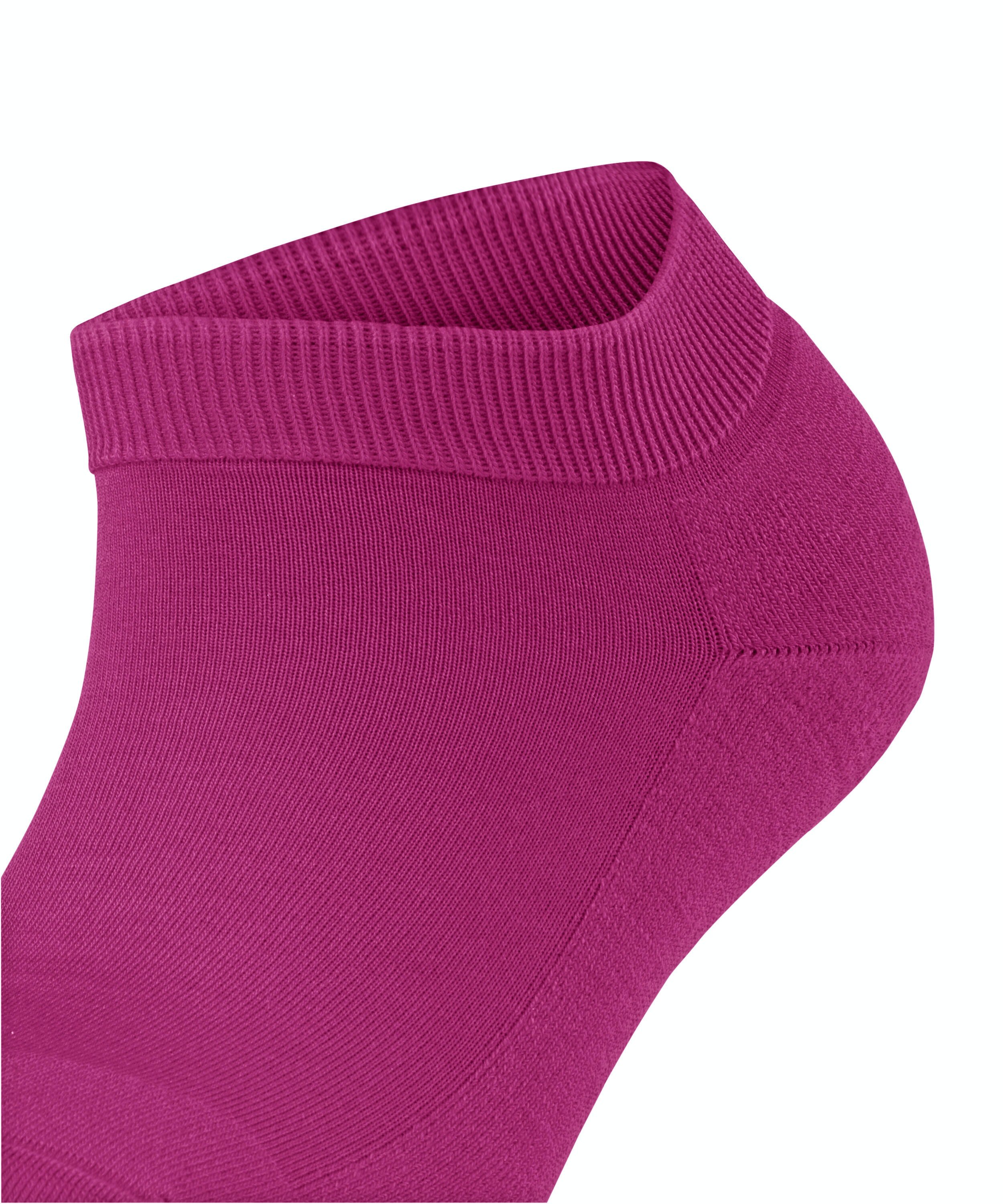 FALKE ClimaWool dames sneakersokken, roze (berry)