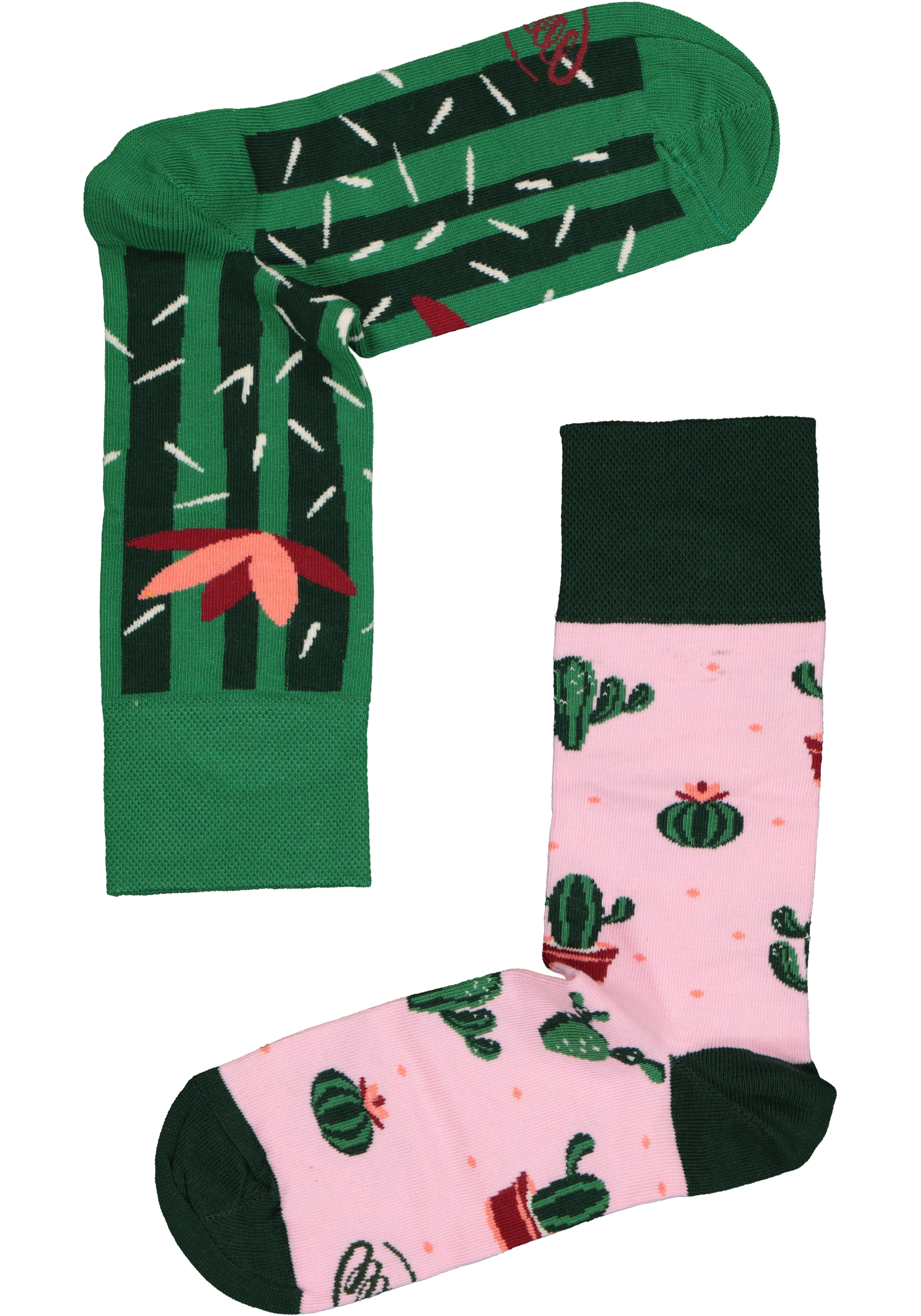 Many Mornings unisex sokken Summer Cactus