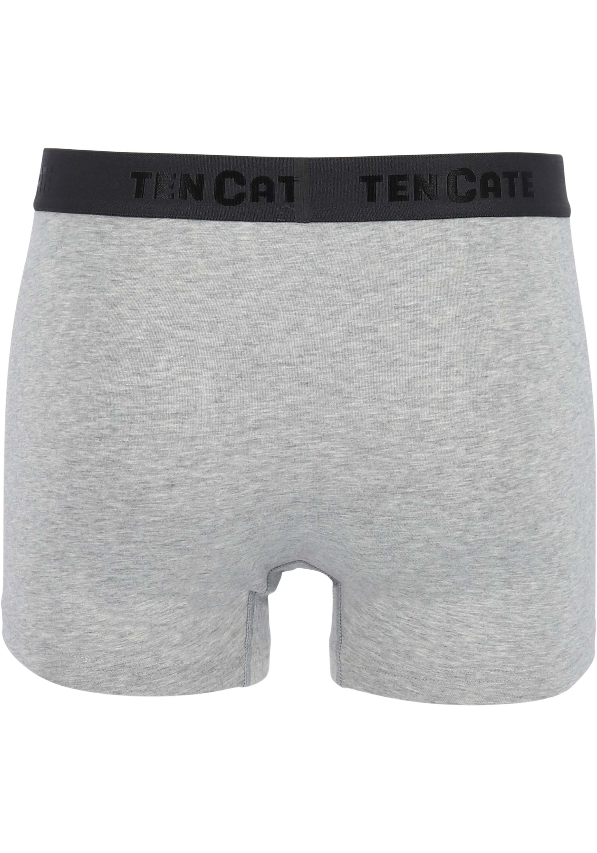 TEN CATE Basics men shorty (2-pack), heren boxers kort, grijs melange