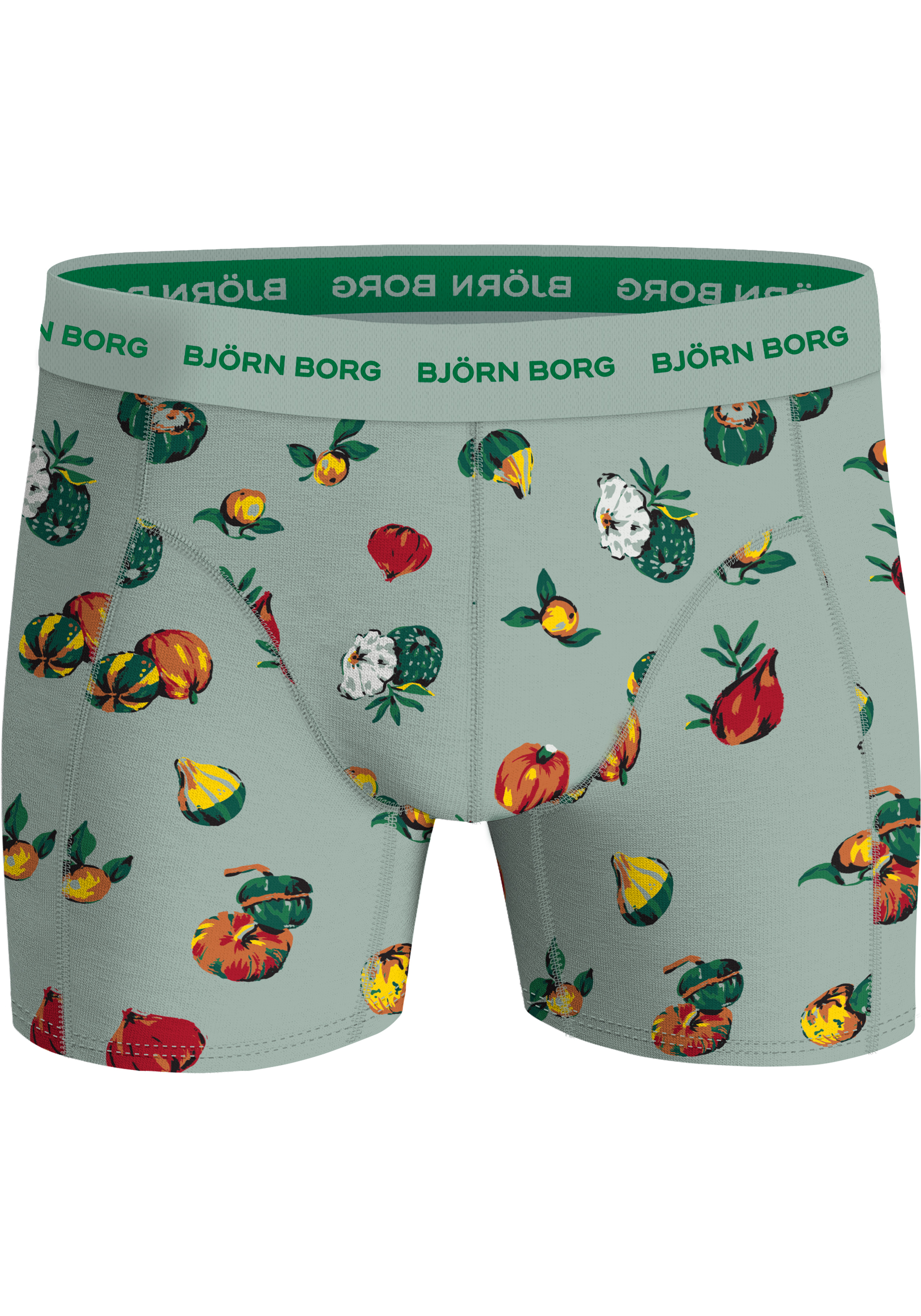 Bjorn Borg Cotton Stretch boxers, heren boxers normale lengte (5-pack), zwart, rood, groen, olijfgroen en groen met print