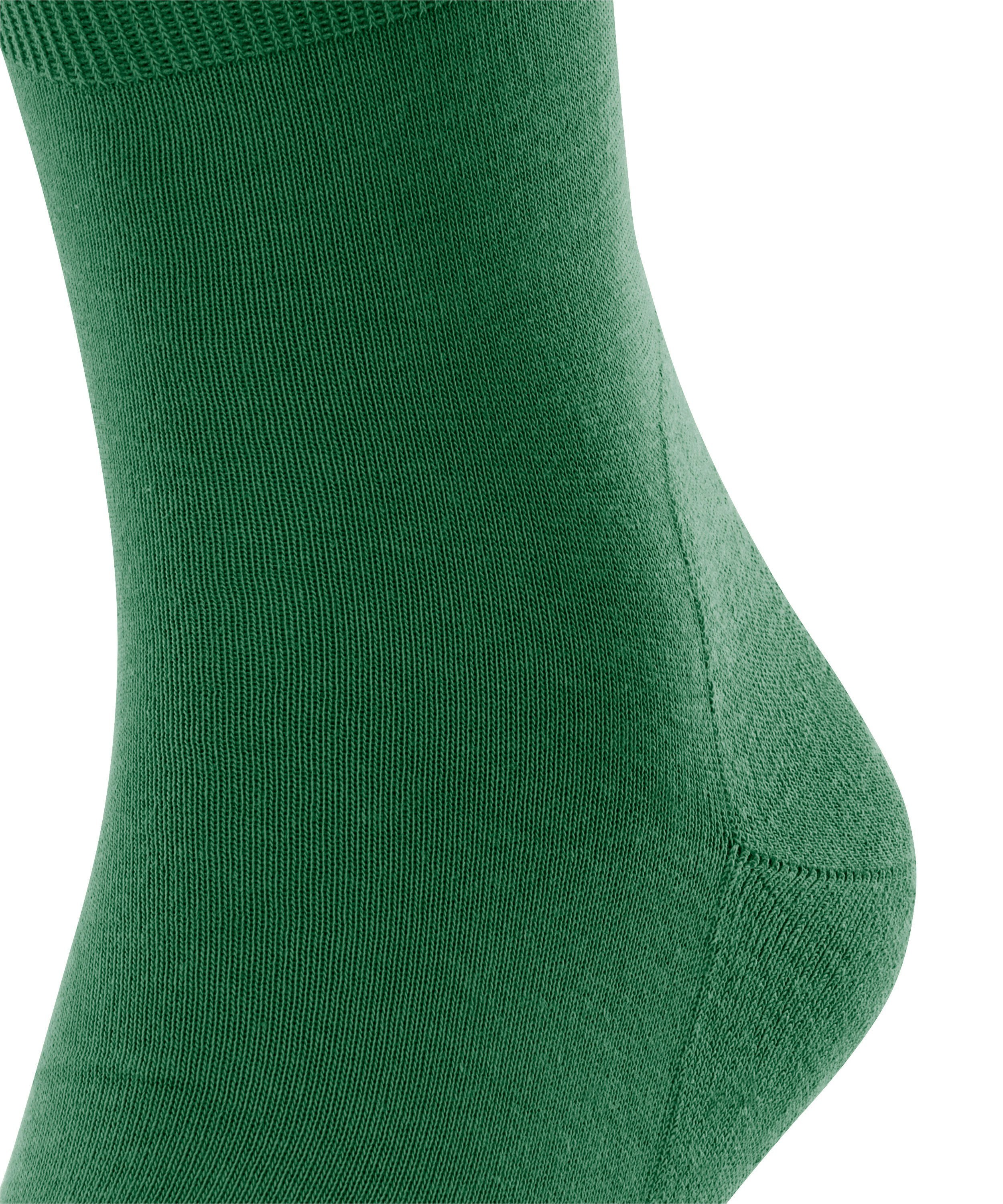 FALKE Run unisex sokken, groen (golf)