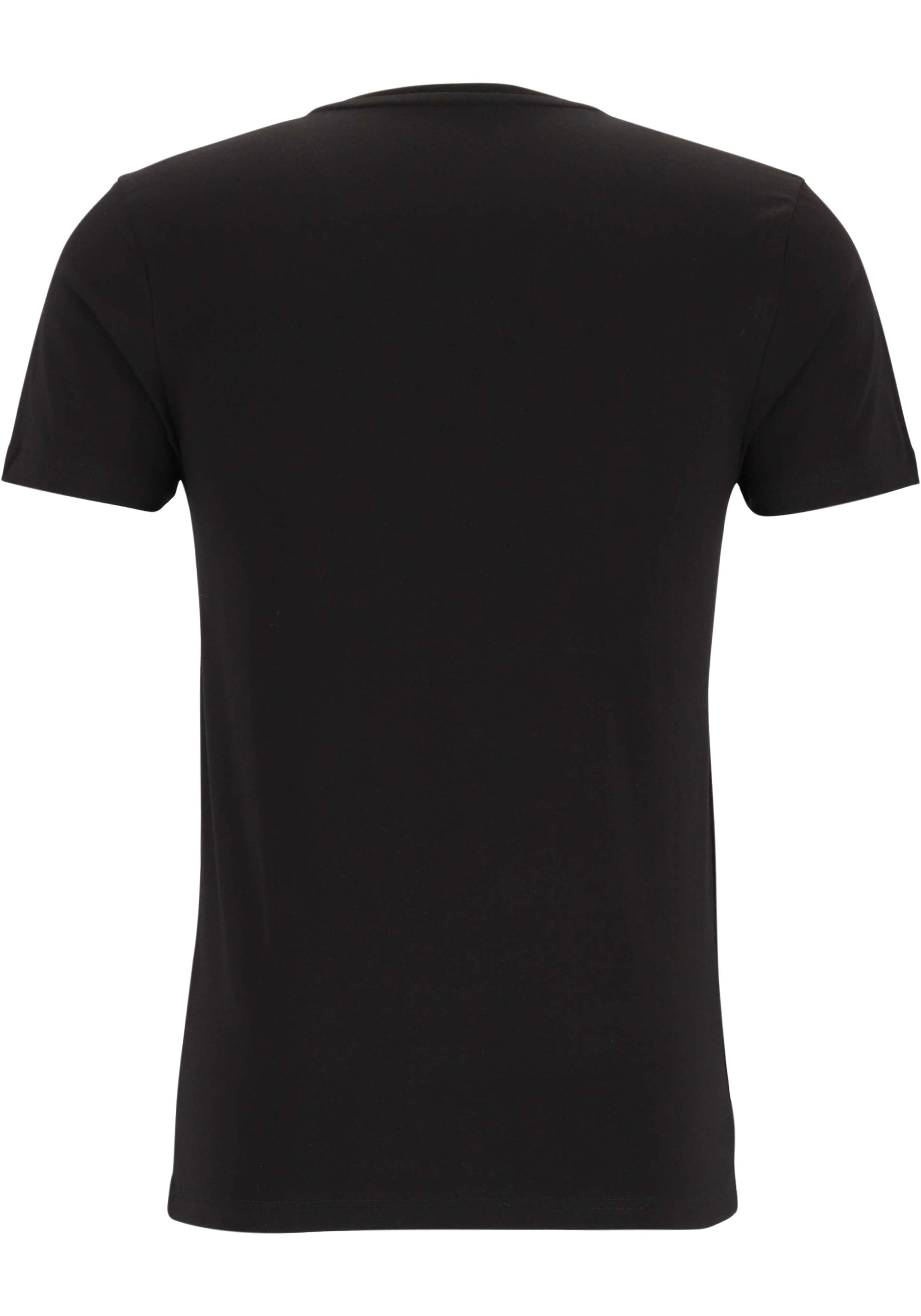 TEN CATE Basics men T-shirt (2-pack), heren T-shirts V-hals, zwart