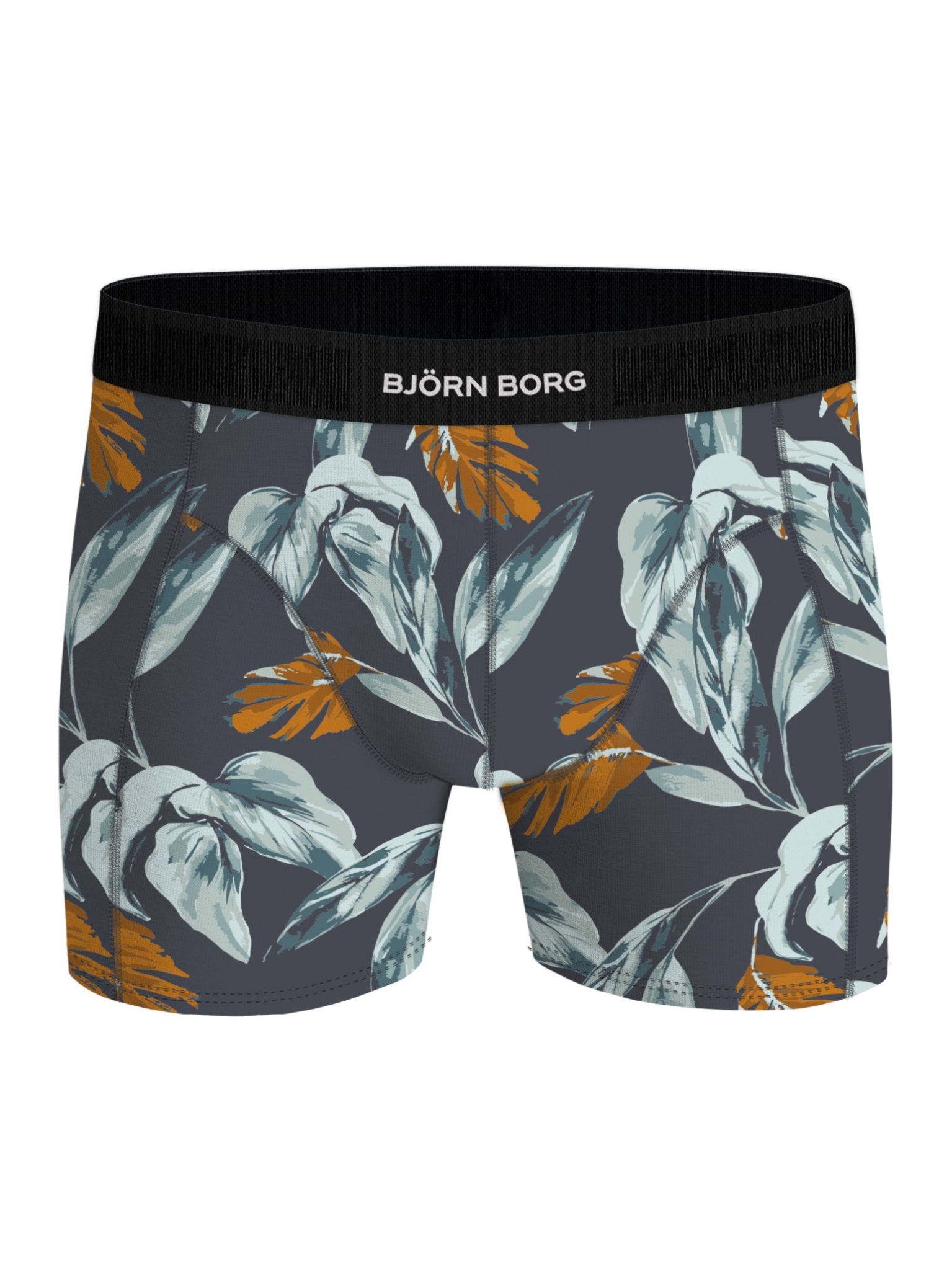 Bjorn Borg Cotton Stretch boxers, heren boxers normale lengte (2-pack), multicolor