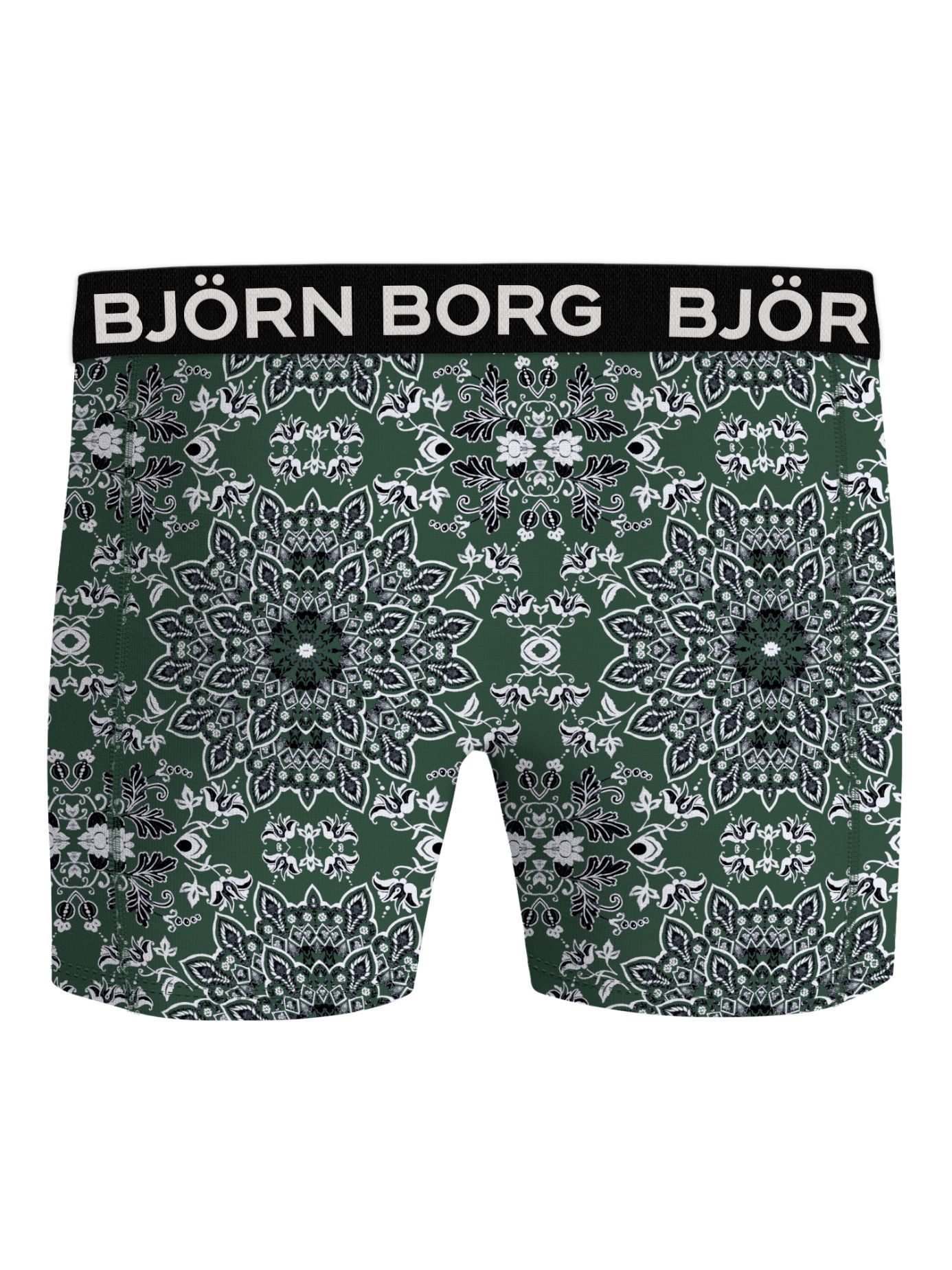 Bjorn Borg Bamboo Cotton Blend boxers, heren boxers normale lengte (2-pack), multicolor