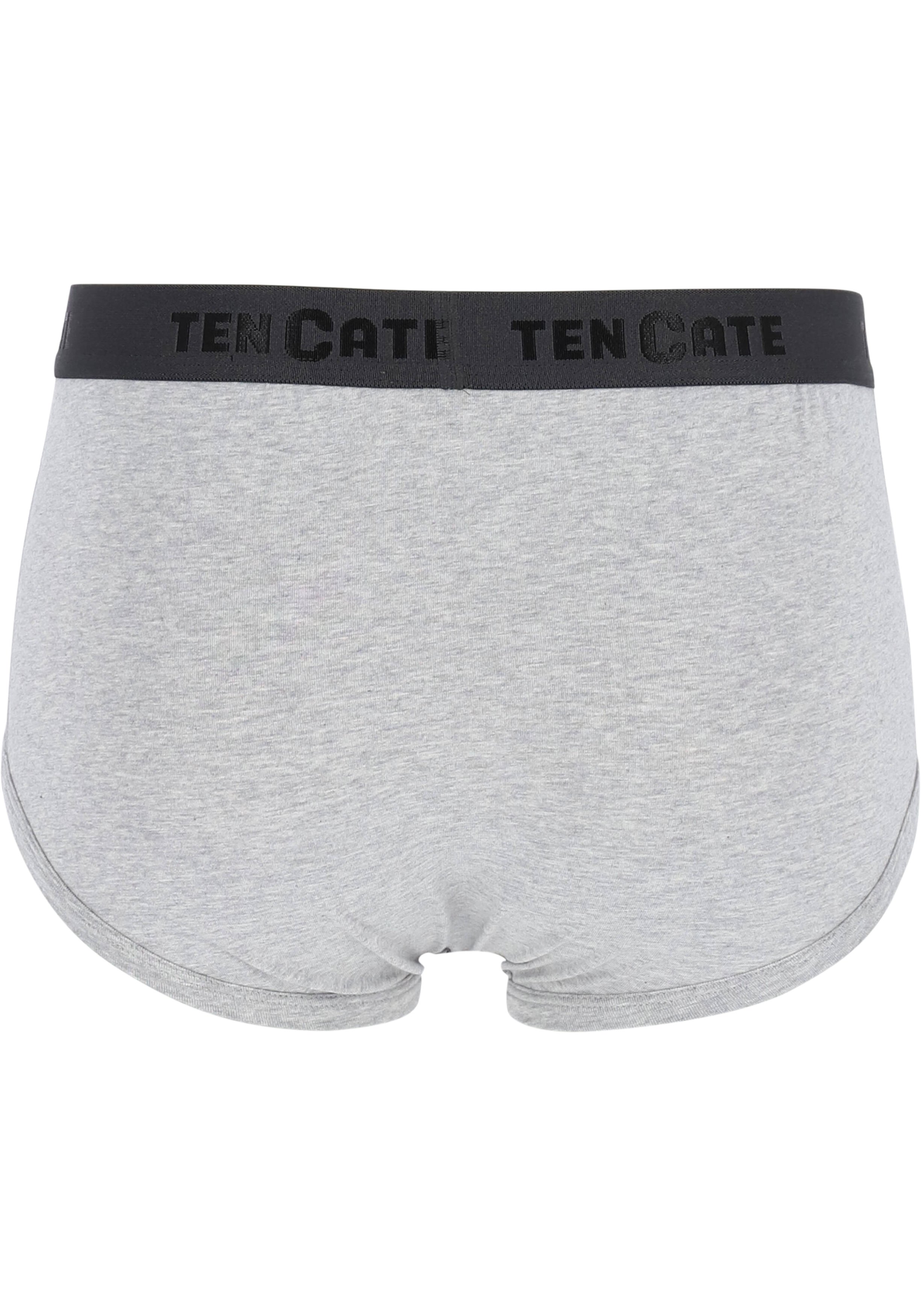 TEN CATE Basics men classic slip met gulp (2-pack), heren heupslips, grijs melange