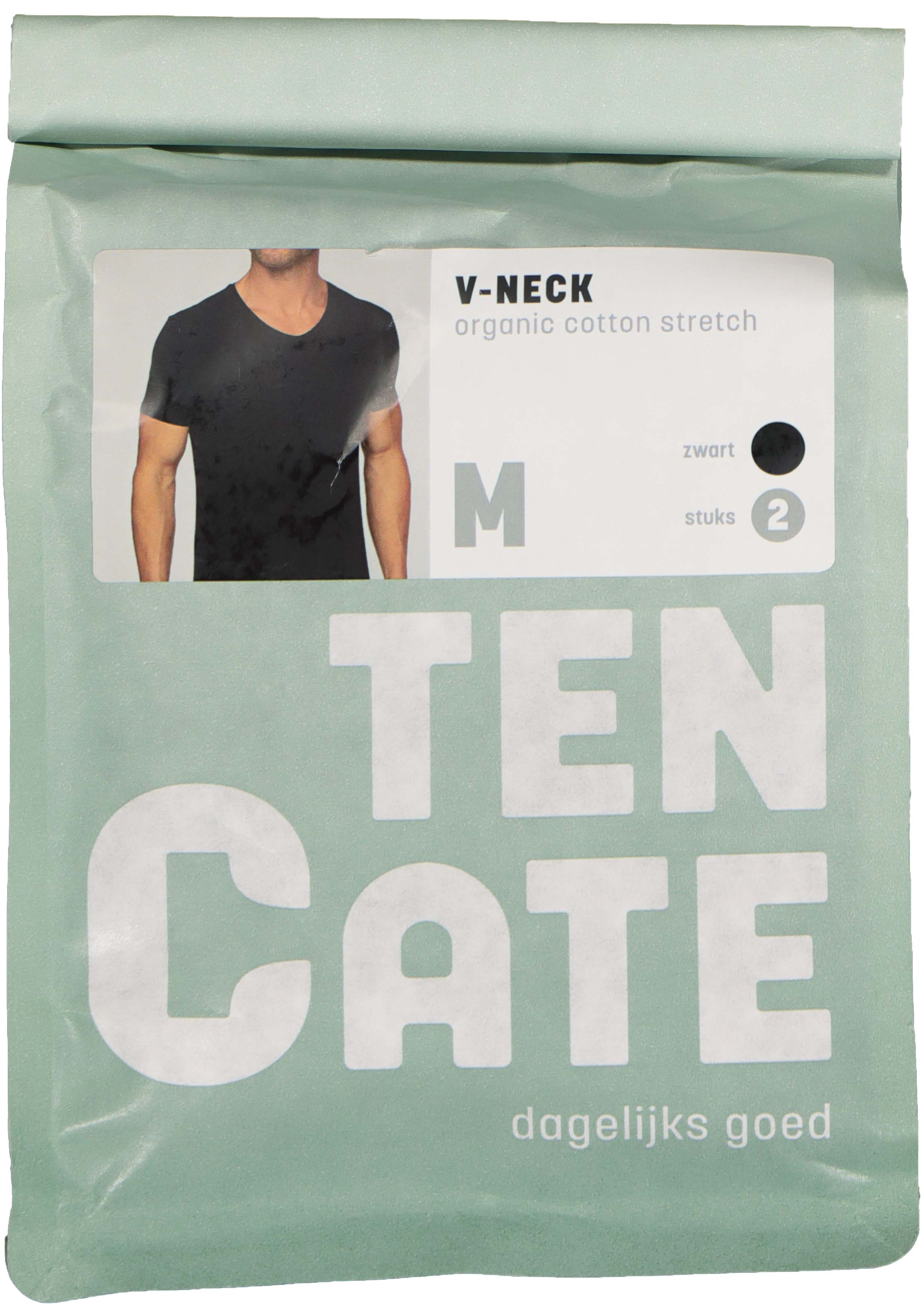 TEN CATE Basics men T-shirt (2-pack), heren T-shirts V-hals, zwart