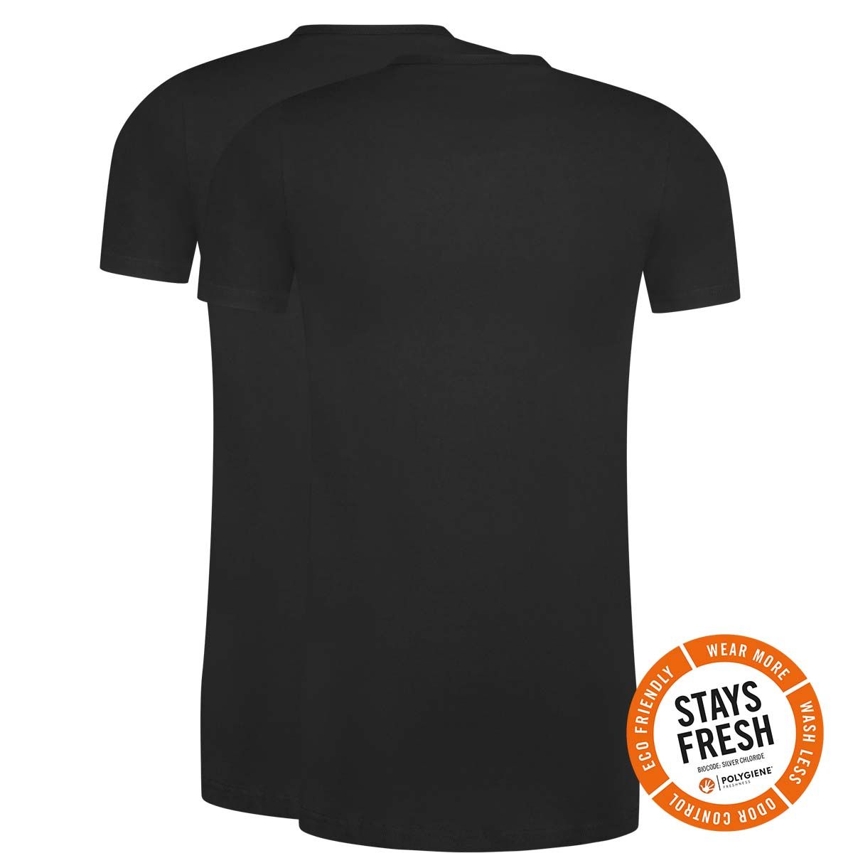 RJ Bodywear Everyday Venlo T-shirt (2-pack), heren T-shirt met V-hals, zwart