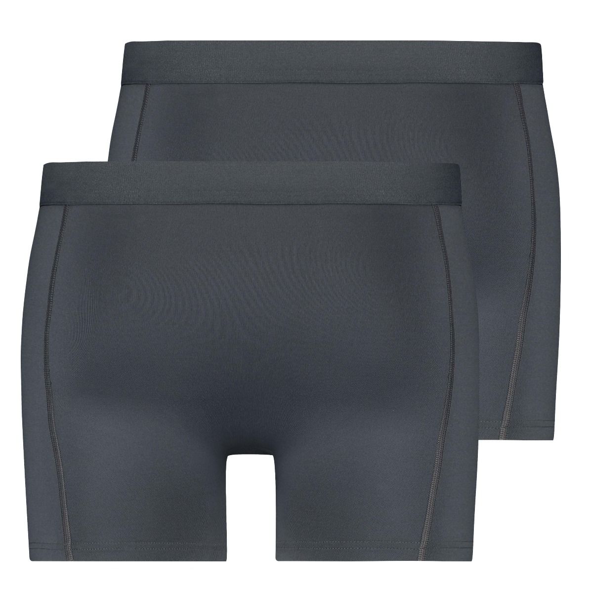 RJ Bodywear Pure Color Jort boxer (2-pack), heren boxer lang, grijs