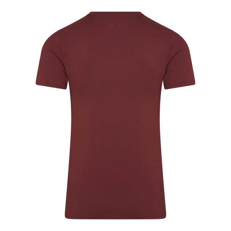 RJ Bodywear Pure Color T-shirt (1-pack), heren T-shirt met V-hals, port