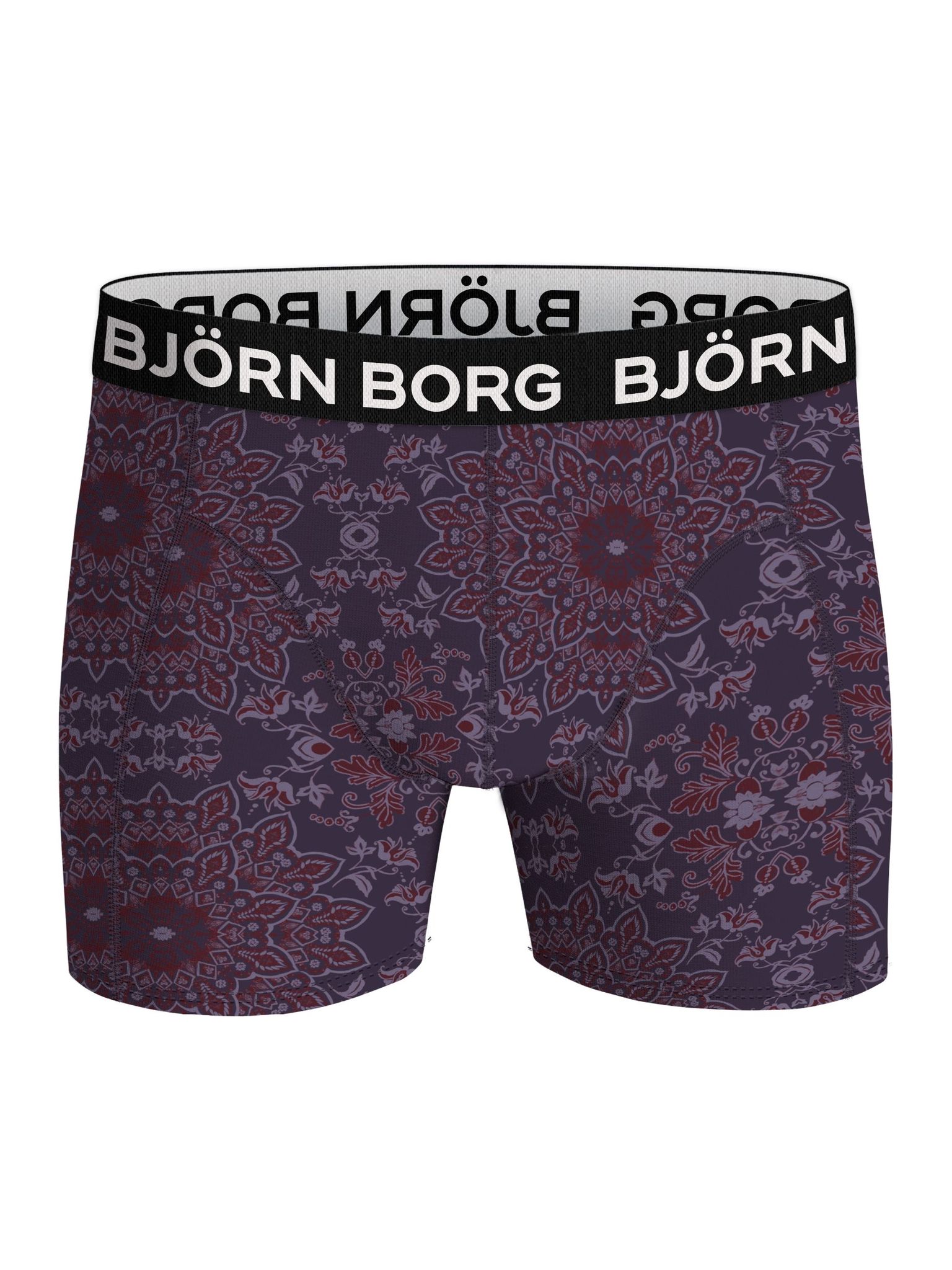 Bjorn Borg Bamboo Cotton Blend boxers, heren boxers normale lengte (2-pack), multicolor