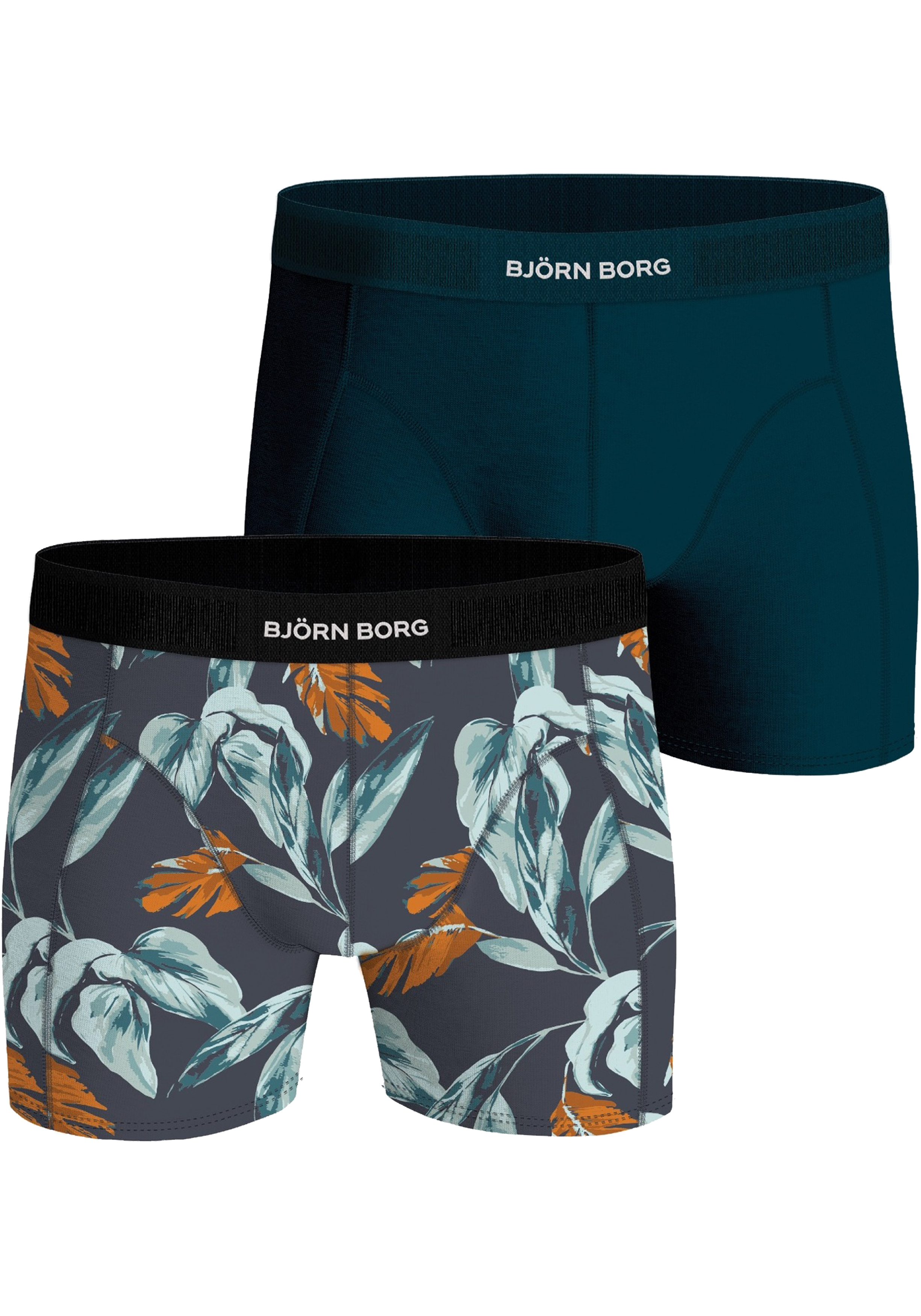 Bjorn Borg Cotton Stretch boxers, heren boxers normale lengte (2-pack), multicolor