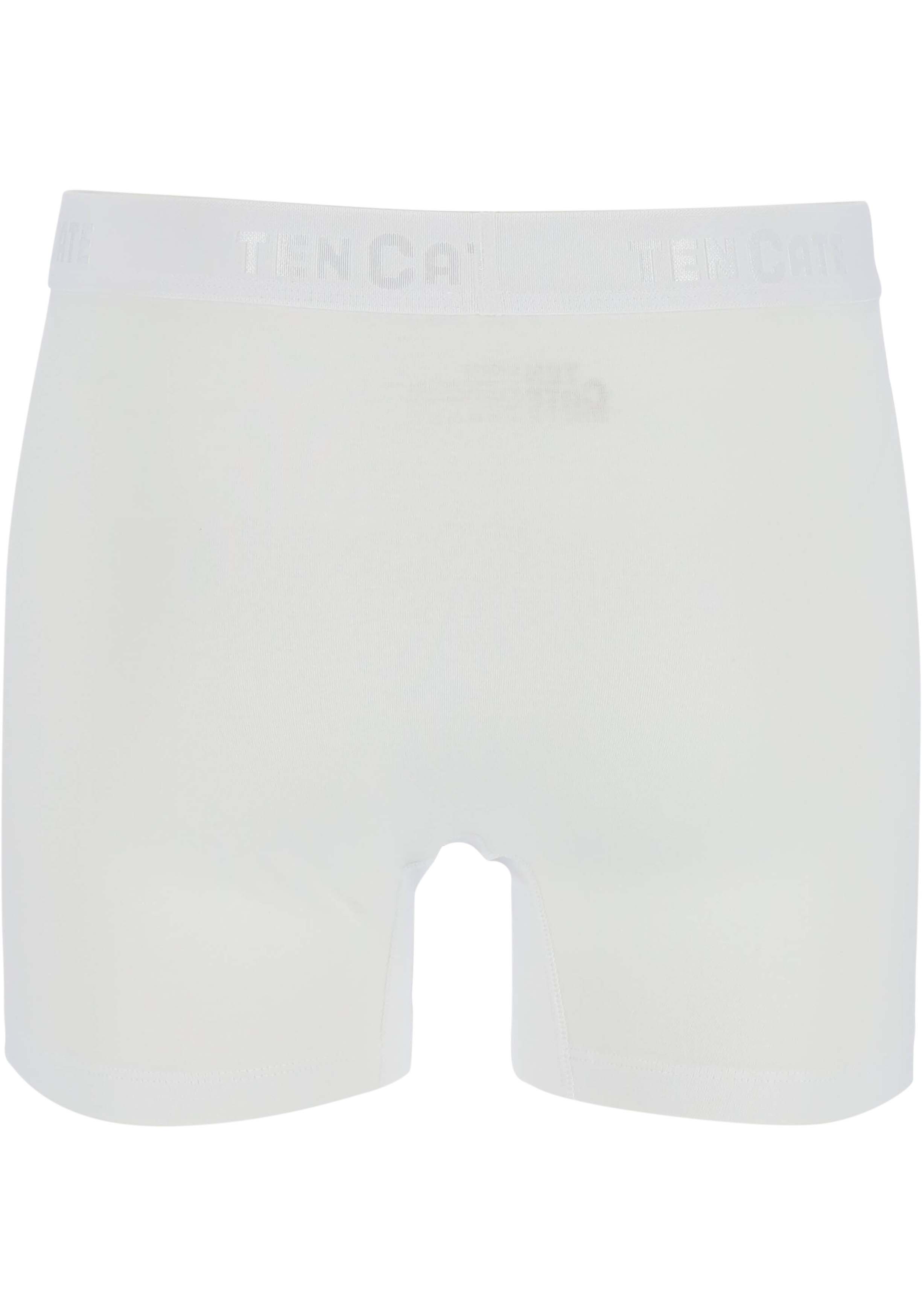 TEN CATE Basics men shorts (2-pack), heren boxers normale lengte, wit