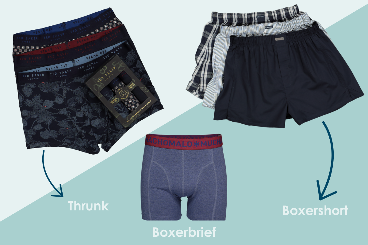 Verschillende soorten boxers