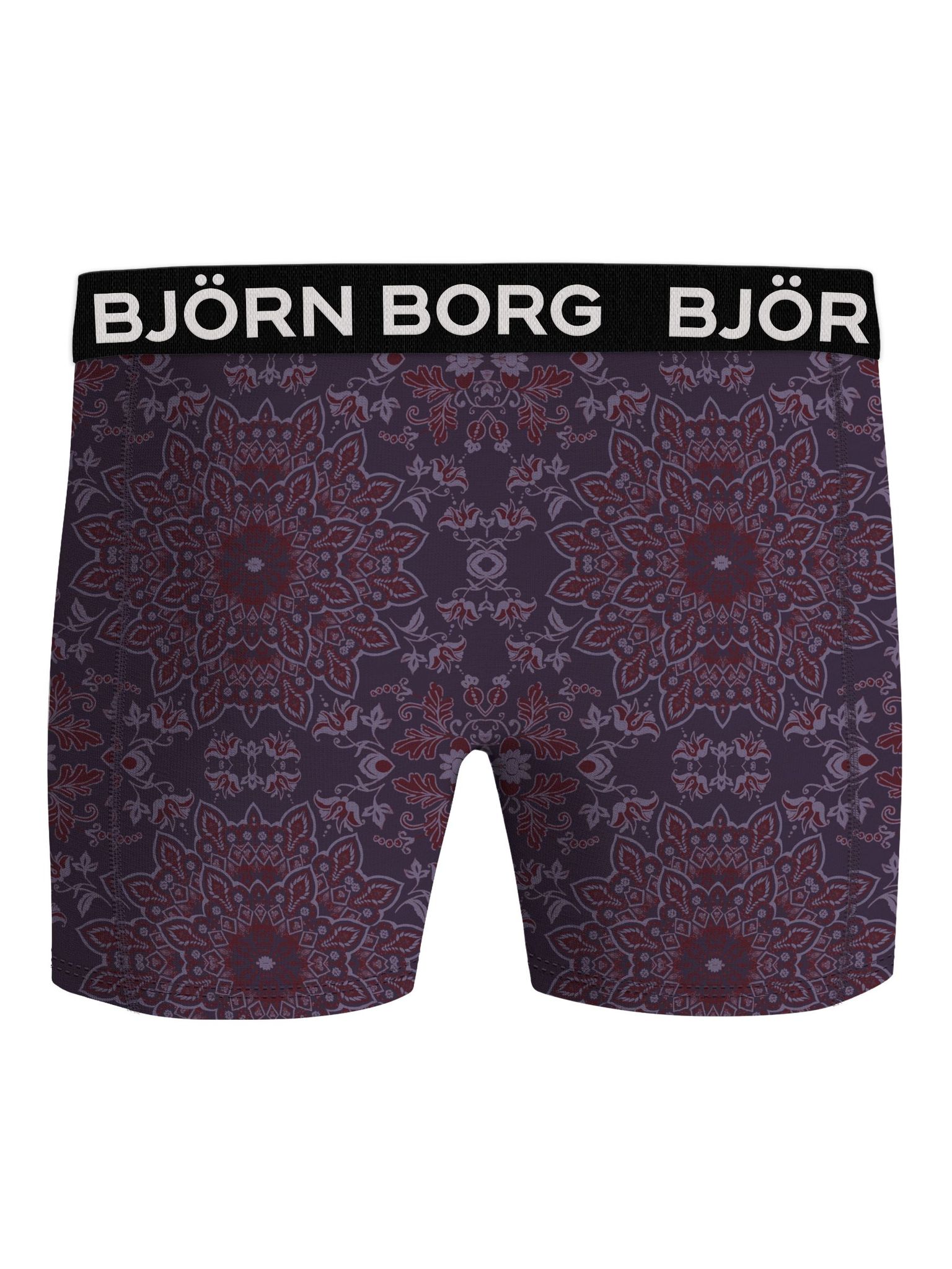 Bjorn Borg Bamboo Cotton Blend boxers, heren boxers normale lengte (2-pack), multicolor