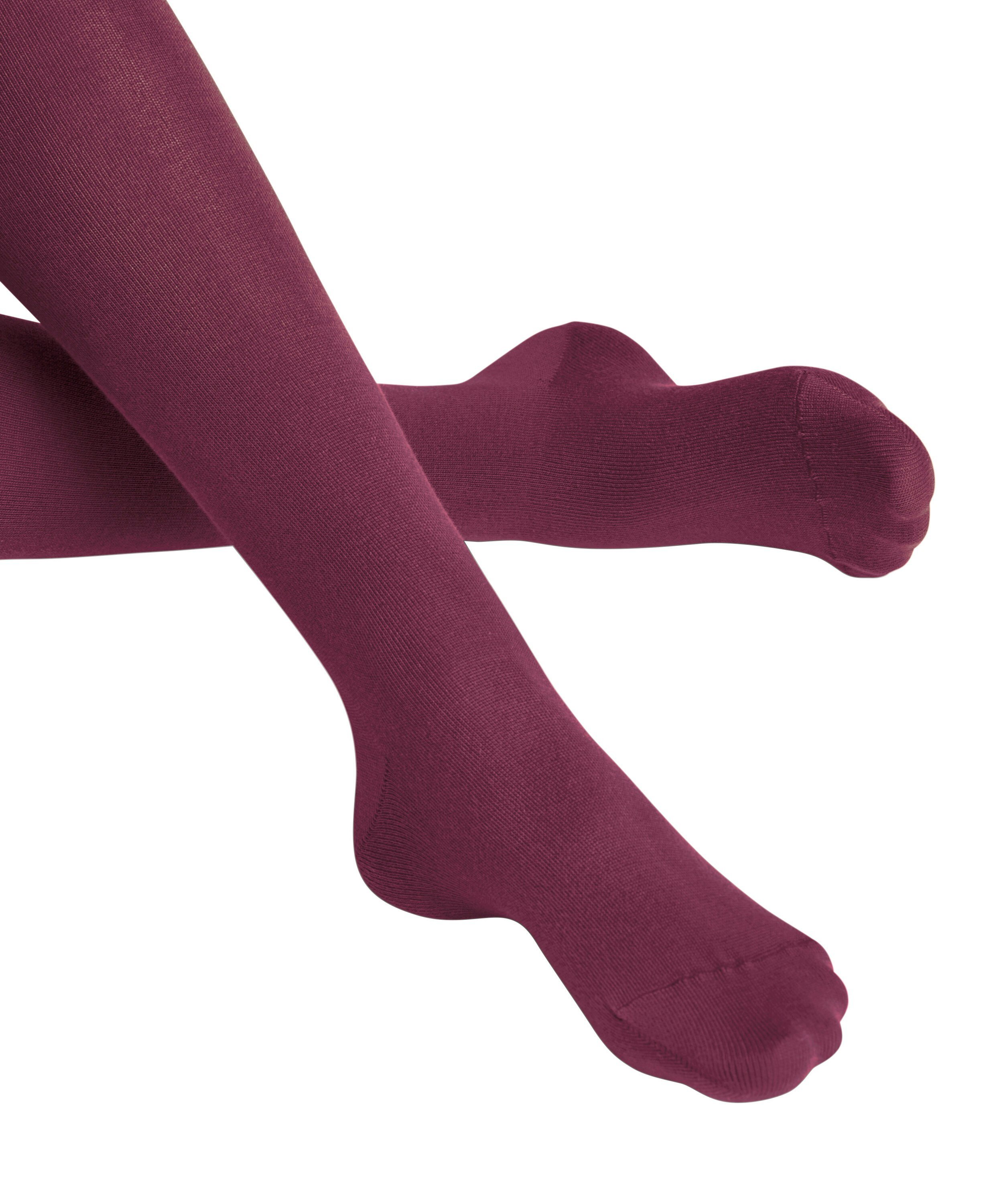 FALKE Family dames panty, red plum